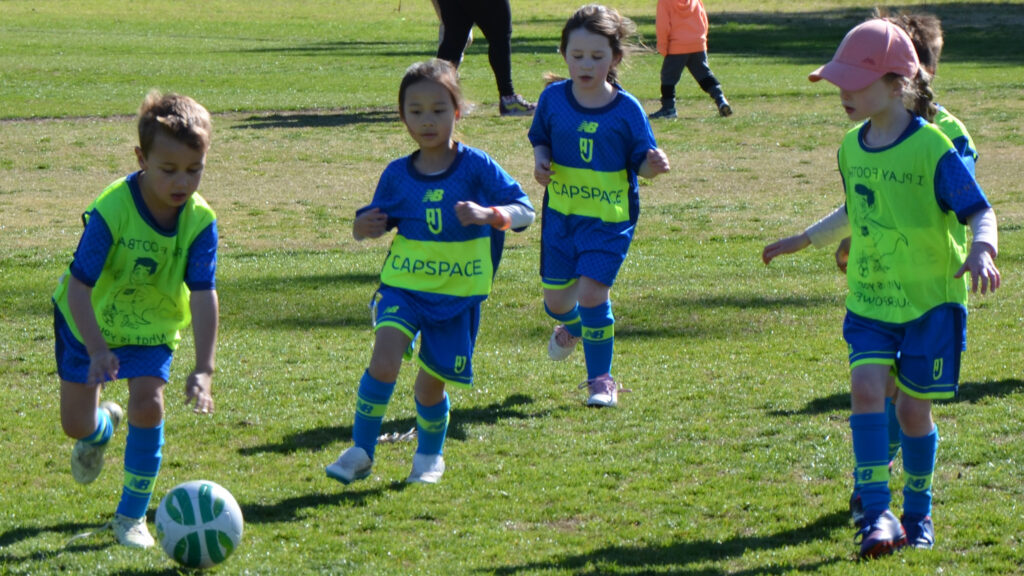 Mini Roos game day at Abbotsford Juniors Football Club